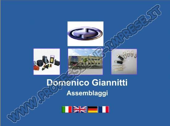 Giannitti Domenico